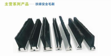刷業(yè)協(xié)會(huì)領(lǐng)導(dǎo)小組考察惠眾扶梯安全毛刷